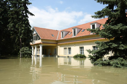 Water and Flood Damage